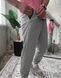 Мужские спортивные штаны серые Smm-frd4 фото 4