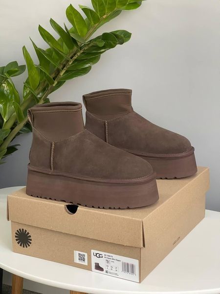 Жіночі зимові черевики UGG Classic Mini Dipper Chocolate Las-2044 фото