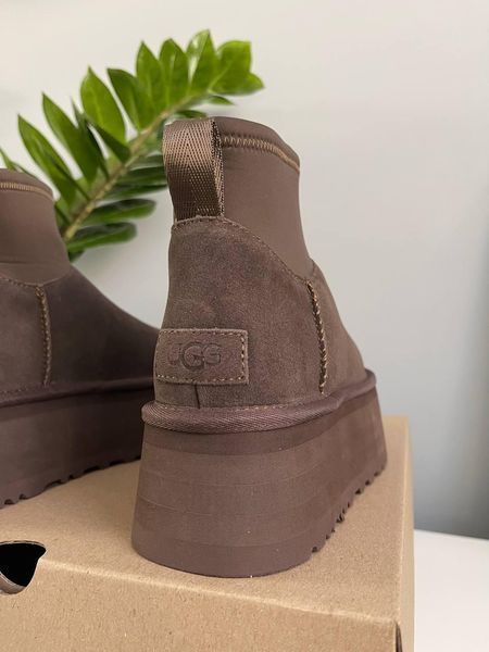 Жіночі зимові черевики UGG Classic Mini Dipper Chocolate Las-2044 фото