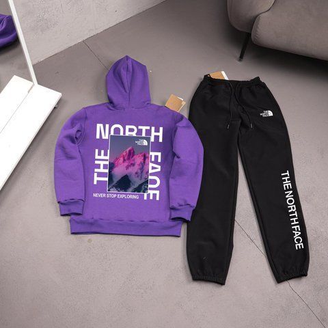 Мужской зимний спортивный костюм The North Face фиолетовый Комплект ТНФ Худи Штаны плащевка Ads-568 фото