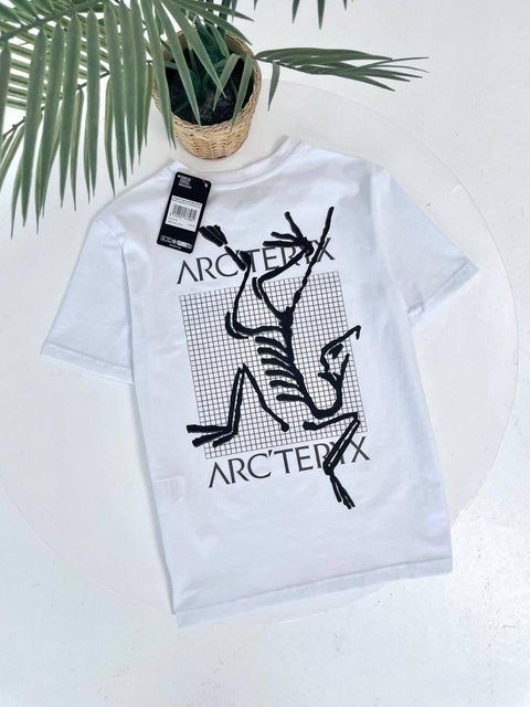 Мужская футболка Arcteryx белая хлопковая Арктерикс Гла-192 фото