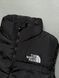 Чоловіча Жилетка The North Face утеплена чорна Безрукавка ТНФ демісезонна Slav-art145.01 фото 3