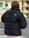 Женская зимняя куртка The North Face оверсайз до -25*С Пуховик ТНФ черный Arm-TN12 (коп6) фото 5