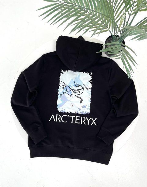 Мужское зимнее худи Arcteryx на микрофлисе черное Кофта Арктерикс с капюшоном Гла-135 фото