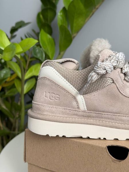 Жіночі зимові кросівки UGG Lowmel Sneaker сірі Las-2071 фото