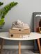 Жіночі зимові кросівки UGG Lowmel Sneaker сірі Las-2071 фото 9