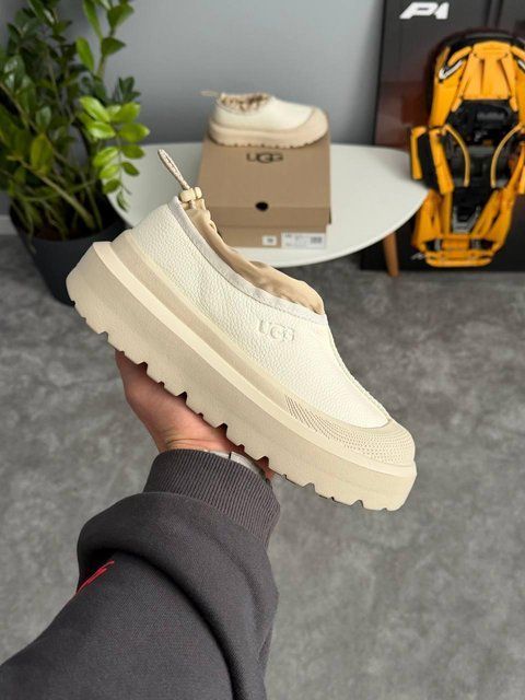 Женские зимние ботинки UGG Tasman Hybrid бежевые Las-2066 фото