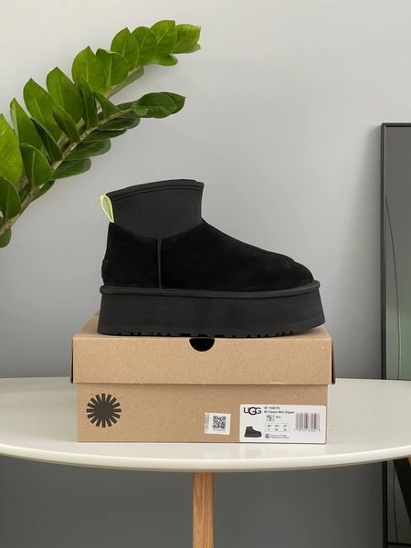 Жіночі зимові черевики UGG Classic Mini Dipper Black Las-1458 фото