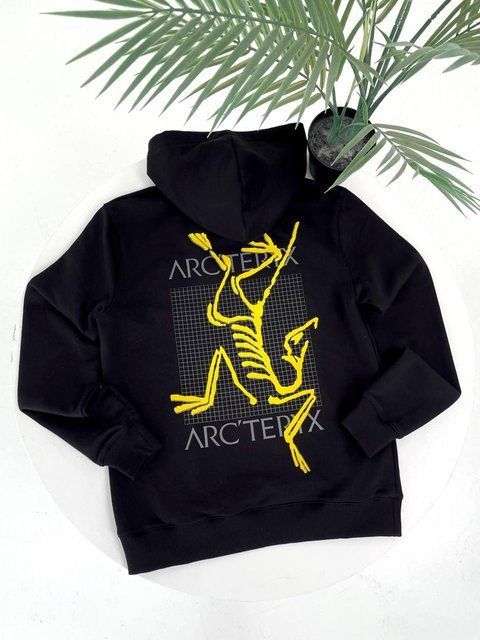 Мужское зимнее худи Arcteryx на микрофлисе черное Кофта Арктерикс с капюшоном Гла-136 фото
