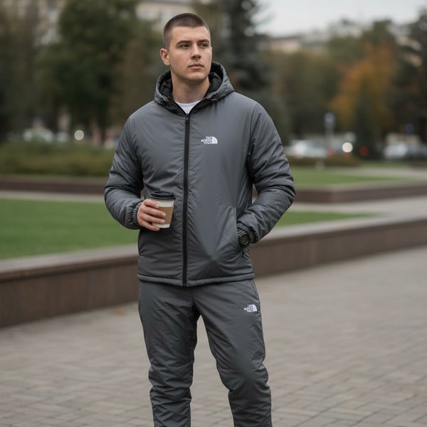 Мужской зимний спортивный костюм The North Face флисовый серый Комплект ТНФ плюшевый Will-Т0087 фото