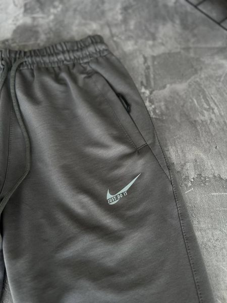 Мужские спортивные штаны Nike серые Брюки Найк демисезонные Моло-5RD-12 фото