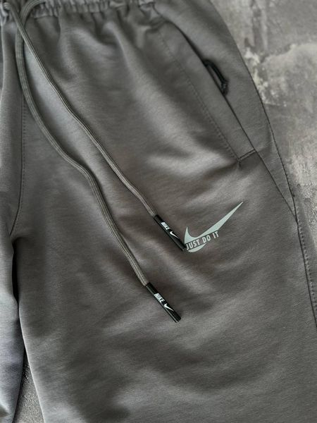 Мужские спортивные штаны Nike серые Брюки Найк демисезонные Моло-5RD-12 фото