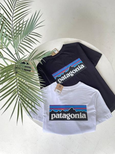 Футболка чоловіча Patagonia біла бавовняна Патагонія з принтом Гла-69 фото