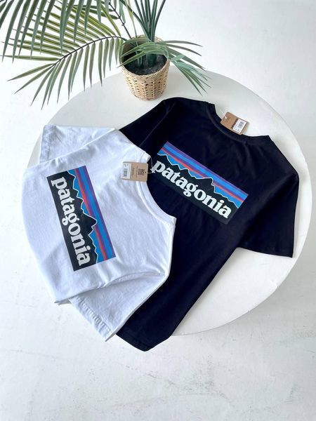 Футболка чоловіча Patagonia біла бавовняна Патагонія з принтом Гла-69 фото