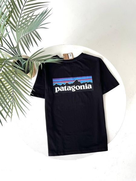Футболка чоловіча Patagonia біла бавовняна Патагонія з принтом Гла-69 фото