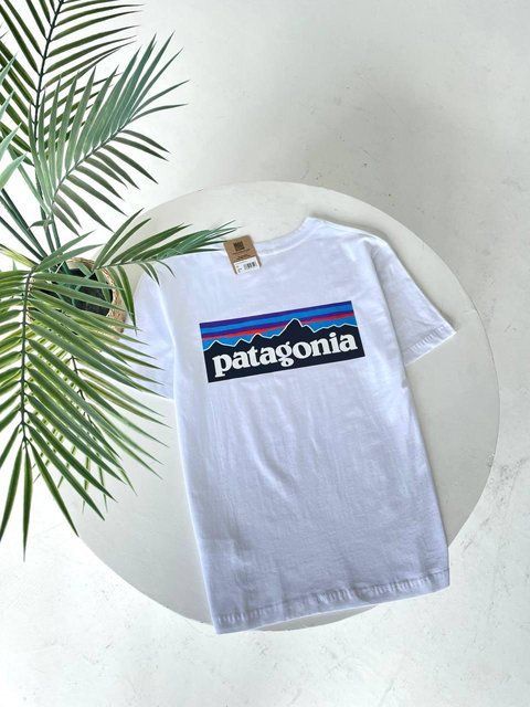 Футболка чоловіча Patagonia біла бавовняна Патагонія з принтом Гла-69 фото