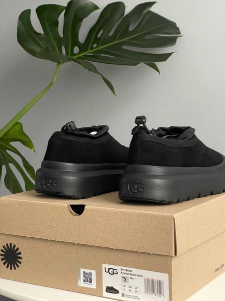 Жіночі зимові черевики UGG Tasman Hybrid чорні Las-1837 фото