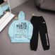 Чоловічий зимовий спортивний костюм The North Face блакитний ТНФ Худі Штани плащівка Ads-570 фото 5