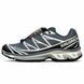 Чоловічі термокросівки Salomon XT-6 Gore-Tex сірі In-3078 фото 1