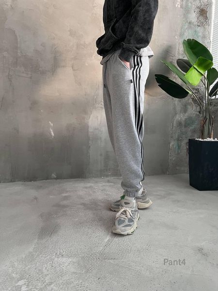 Мужские спортивные штаны с лампасами серые Smm-pant4 фото