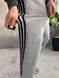 Мужские спортивные штаны с лампасами серые Smm-pant4 фото 3