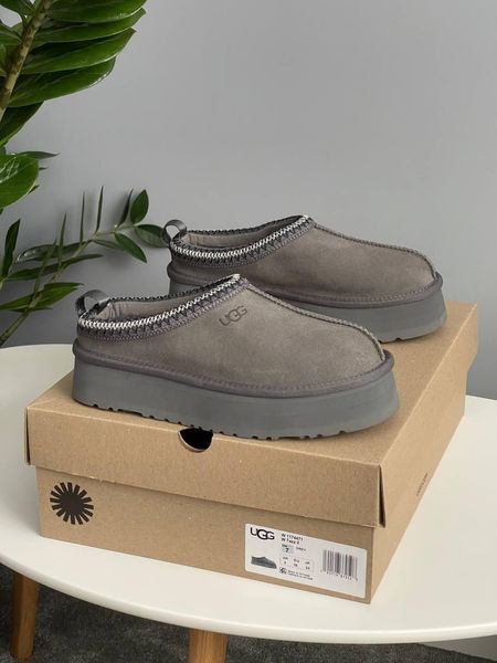 Жіночі зимові черевики UGG Tazz II сірі Las-1480 фото