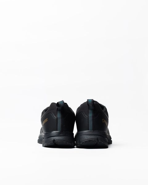 Мужские кроссовки Nike Pegasus 30 Gore-Tex Black черные Pow-NK385 фото