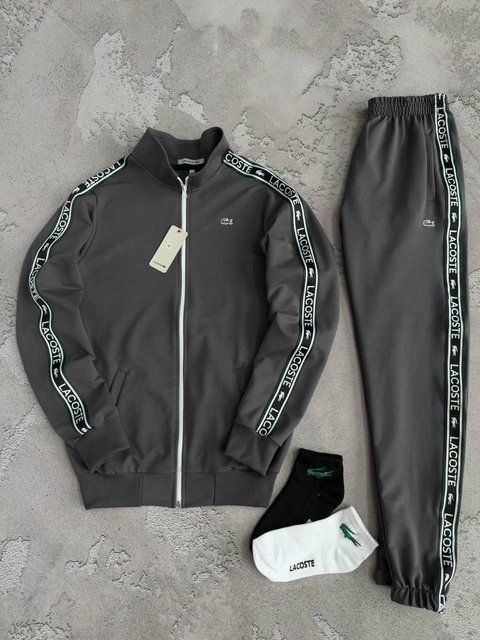 Чоловічий спортивний костюм Lacoste з лампасами сірий Лакост Кофта на змійці + Штани весняний осінній Хар-773 фото