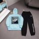 Мужской зимний спортивный костюм The North Face черный Комплект ТНФ Худи Штаны плащевка Ads-561 фото 5