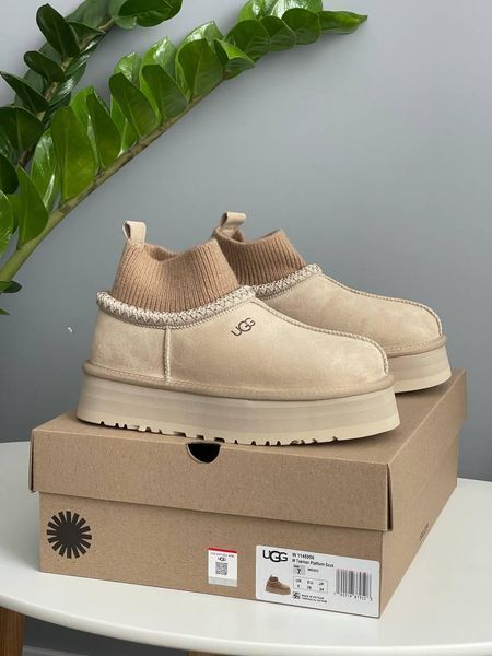 Жіночі зимові черевики Ugg Tazz Sock бежеві Las-1497 фото
