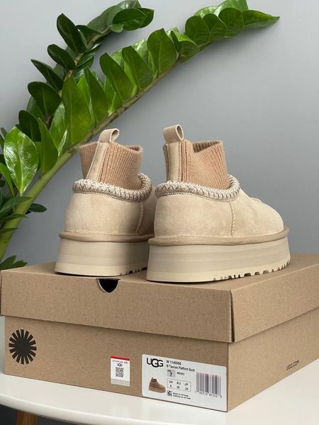 Жіночі зимові черевики Ugg Tazz Sock бежеві Las-1497 фото
