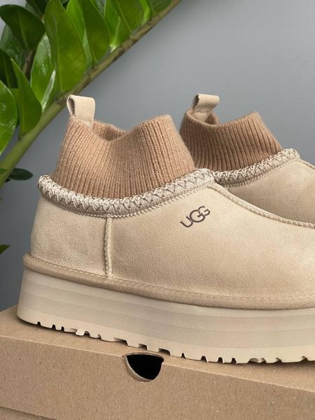 Жіночі зимові черевики Ugg Tazz Sock бежеві Las-1497 фото