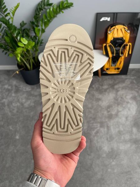 Жіночі зимові черевики Ugg Tazz Sock бежеві Las-1497 фото