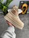 Жіночі зимові черевики Ugg Tazz Sock бежеві Las-1497 фото 1