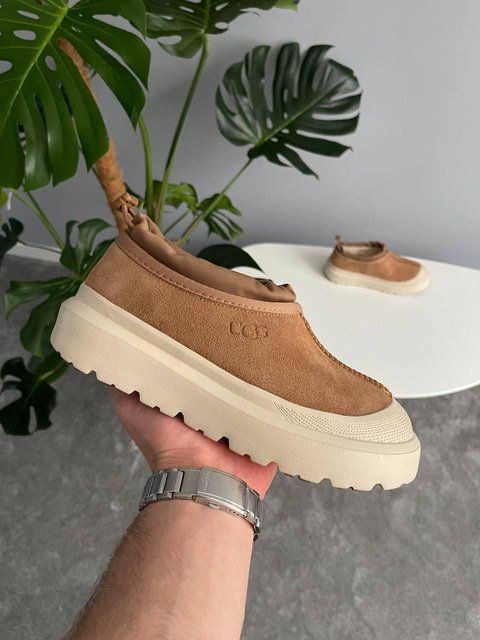 Женские зимние ботинки UGG Tasman Hybrid бежевые Las-1838 фото