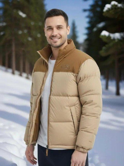Чоловічий зимовий пуховик The North Face бежевий Куртка Зе Норт Фейс Arm-TN9 фото