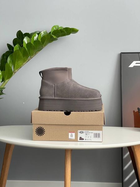 Жіночі зимові черевики UGG Classic Mini Dipper сірі Las-1455 фото