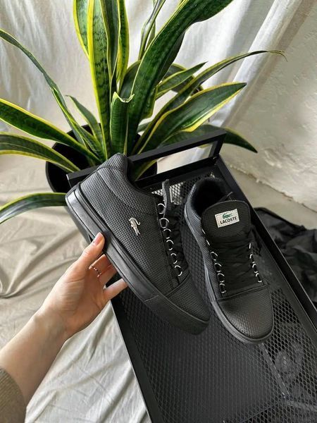 Мужские кроссовки Lacoste черные кожаные Кеды Лакост весенние летние Arm-LK004 фото