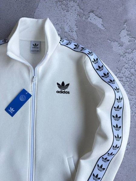 Чоловічий зимовий спортивний костюм Adidas без капюшона молочний Комплект Адідас Хар-694 фото