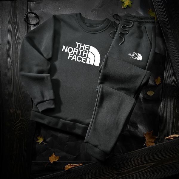 Мужской зимний спортивный костюм The North Face серый Комплект ТНФ Худи Худи Штаны Hot-7 фото