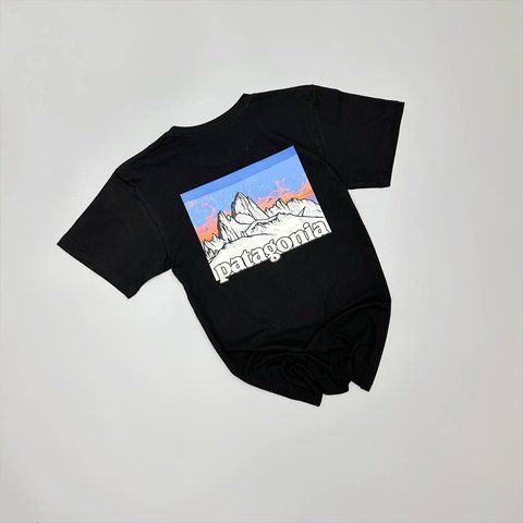 Чоловіча футболка Patagonia чорна Патагонія бавовняна Will-PA0015 фото
