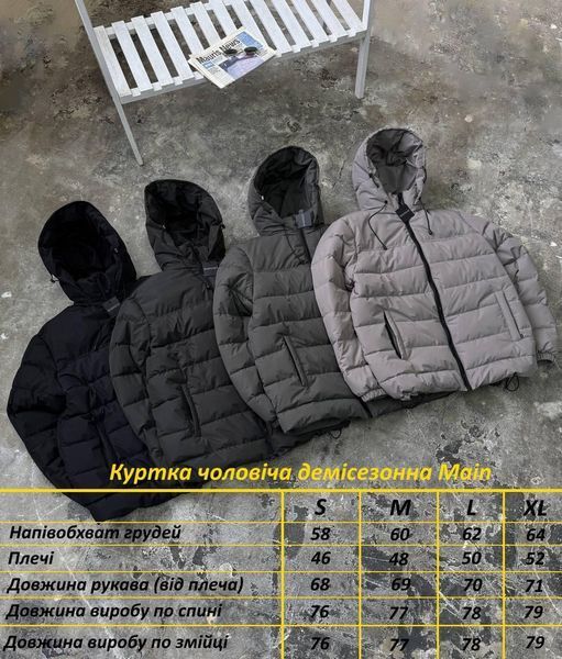 Мужская куртка с капюшоном серая Куртка демисезонная утепленная Rap-RD425 1 фото