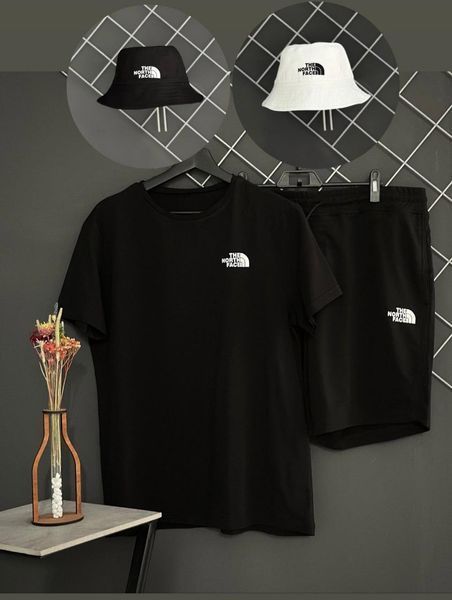 Чоловічий літній костюм The North Face Футболка Шорти комплект ТНФ білий із чорним Intr-9523748053 фото