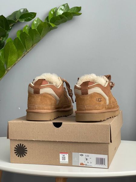 Жіночі зимові кросівки UGG Lowmel Sneaker бежеві Las-1918 фото