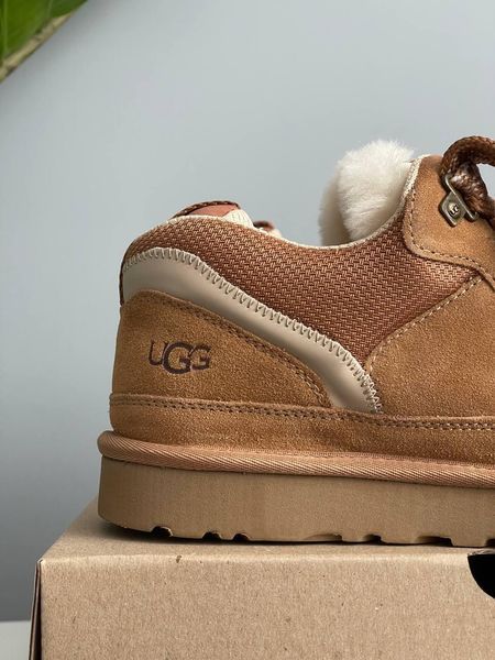 Жіночі зимові кросівки UGG Lowmel Sneaker бежеві Las-1918 фото