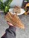 Жіночі зимові кросівки UGG Lowmel Sneaker бежеві Las-1918 фото 1