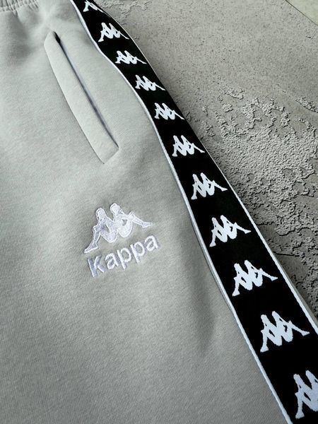 Чоловічий зимовий спортивний костюм Kappa без капюшона сірий Комплект Каппа Хар-712 фото