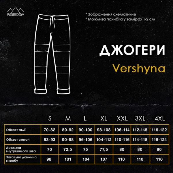 Чоловічі спортивні штани з плащівки темно-сірі Pobe-Vershyna 2 фото