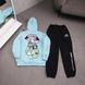 Мужской зимний спортивный костюм Manto Gloves бирюзовый Комплект Манто Худи Штаны плащевка Ads-530 фото 1