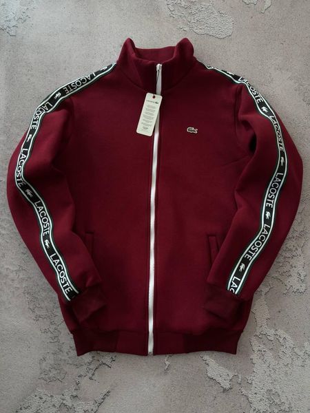 Мужской зимний спортивный костюм Lacoste без капюшона бодовый Набор Лакост Кофта Брюки с лампасами Хар-686 фото